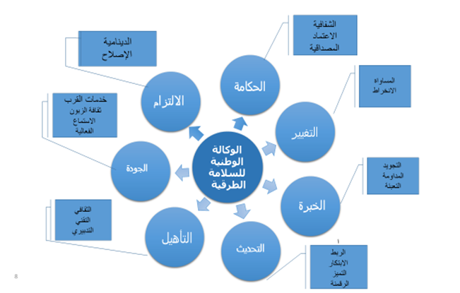 قيم نارسا